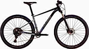 Cannondale Trail SL 4 29 Jant Dağ Bisikleti - Grey