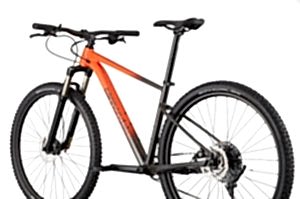 Cannondale Trail SL 4 29 Jant Dağ Bisikleti - Orange