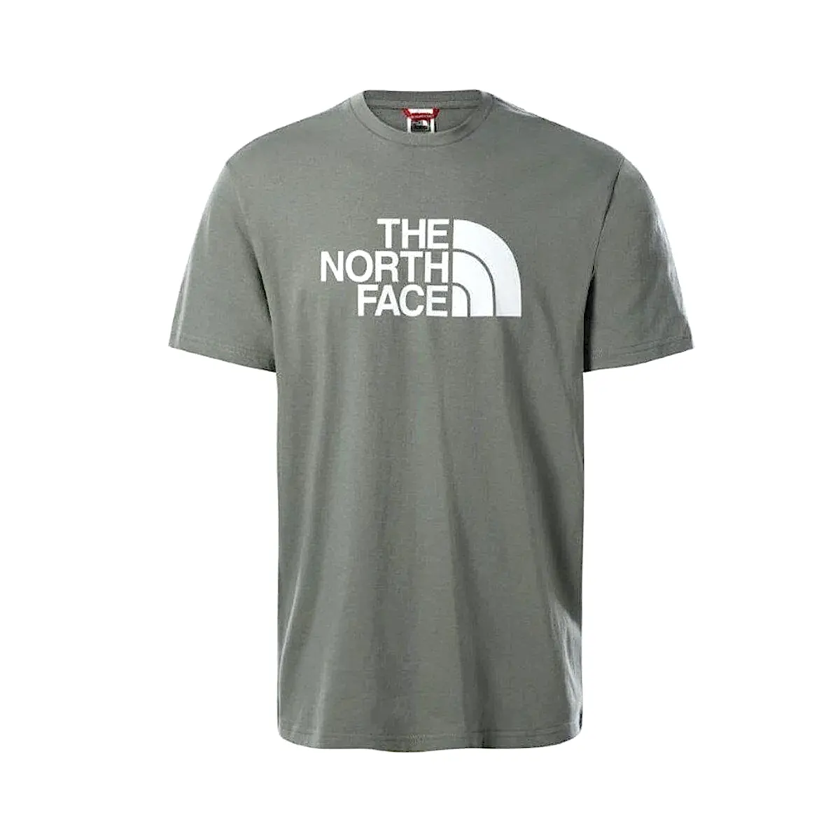 The North Face Easy Erkek Tişört Yeşil