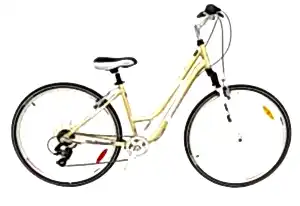Geotech Infinity 28 Woman Şehir Tur Bisikleti - Gold
