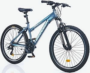 Geotech Mode 26 Econ 4 26 Jant 21 Vites Dağ Bisikleti - Gri/Turkuaz