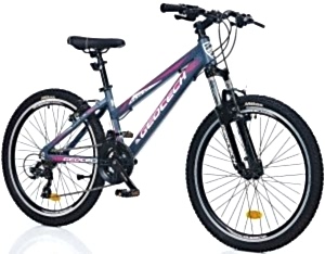 Geotech Path 24 Econ 4 24 Jant 21 Vites Çocuk Bisikleti - Gri/Pembe