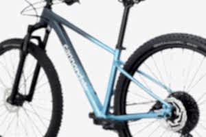 Cannondale Trail SL 3 29 Jant Kadın Dağ Bisikleti - Arduvaz Grisi